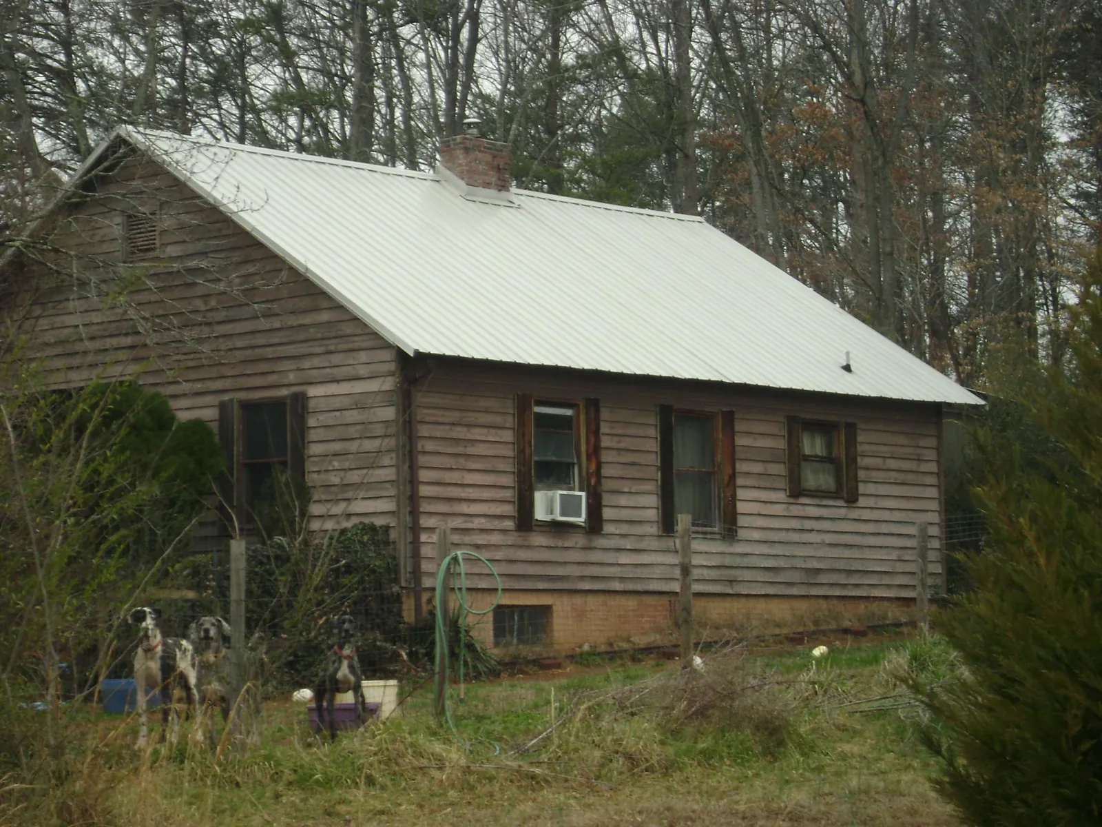 White metal roof on an old wood sided farmhouse, from a Asphalt Shingle Roof Repair job in Greenbank